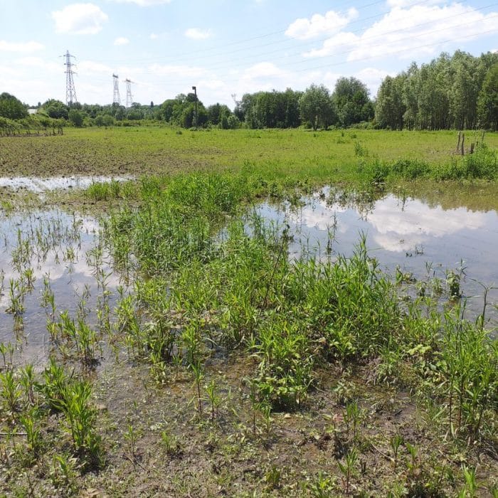 Accompagnement du projet compensatoire lié à un projet d’aménagement d’Eiffage à l’Isle Adam