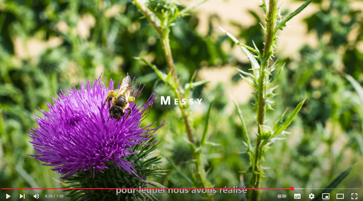 capture d'écran 2025 02 20 164550